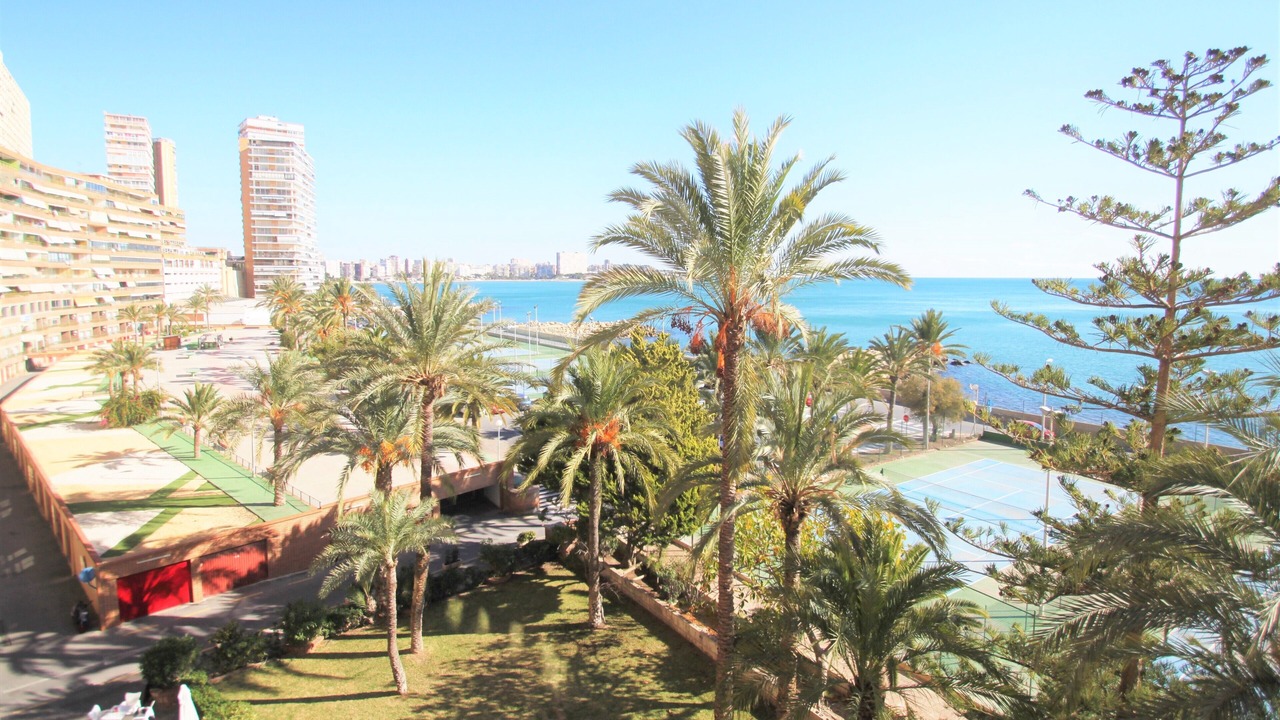 Photo of Outdoor in L'Albufereta