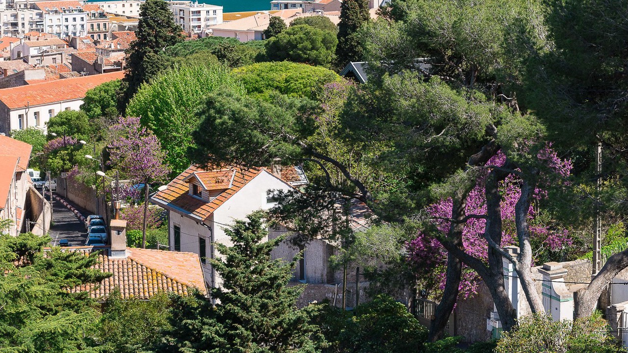 Photo of Others in Sete
