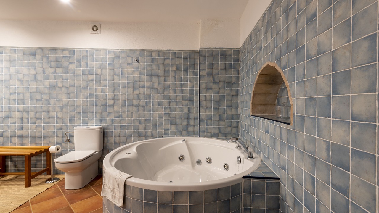Photo of Bathroom in Capmany
