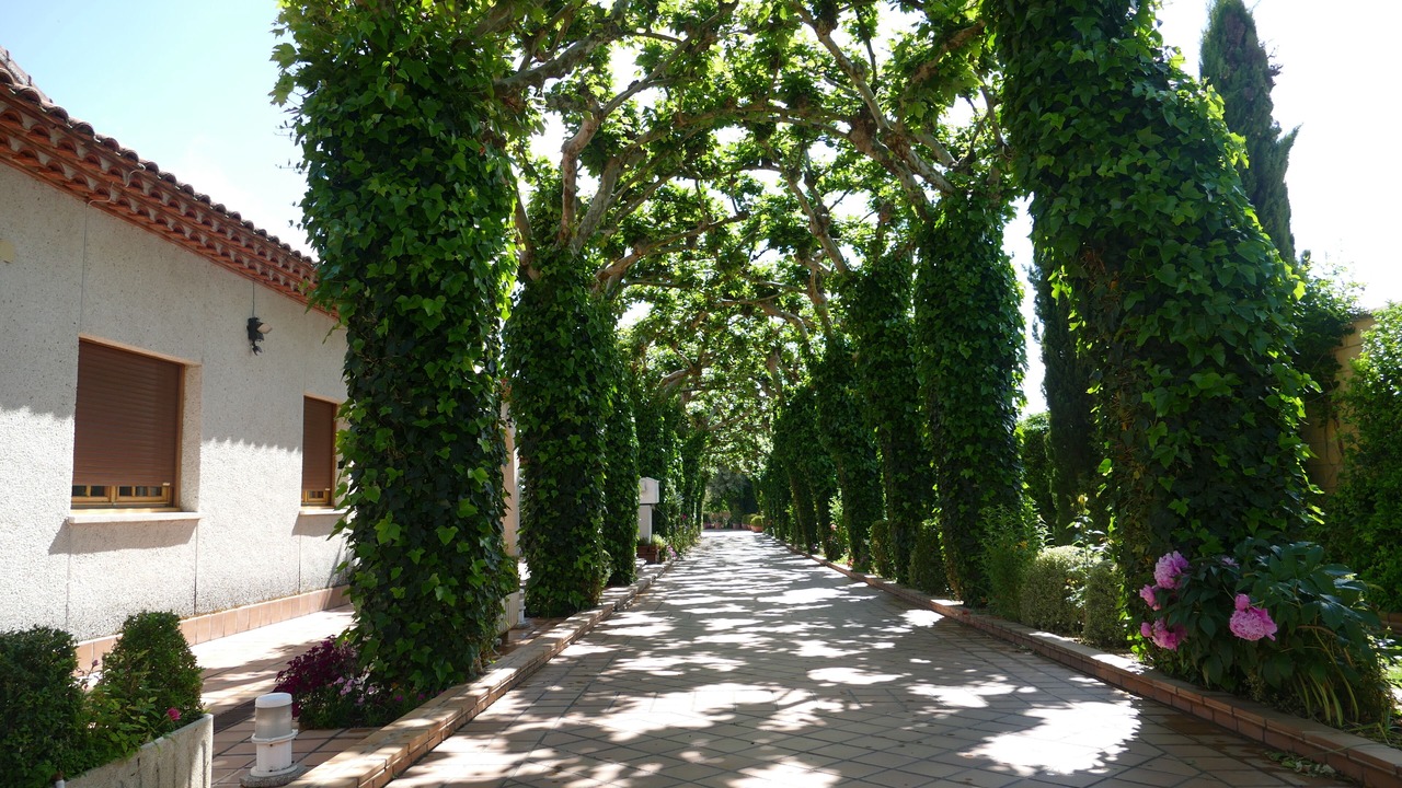 Photo of Outdoor in Villamayor