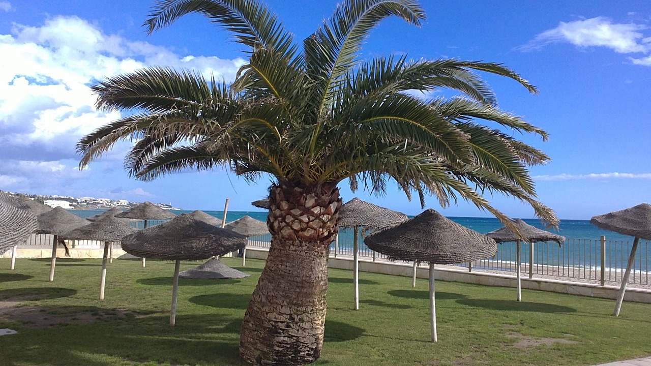 Photo of Outdoor in La Cala de Mijas
