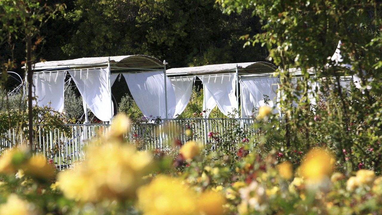 Photo of Outdoor in St.-Remy-de-Provence