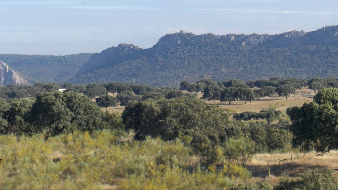 Photo of Outdoor in Torrejon El Rubio