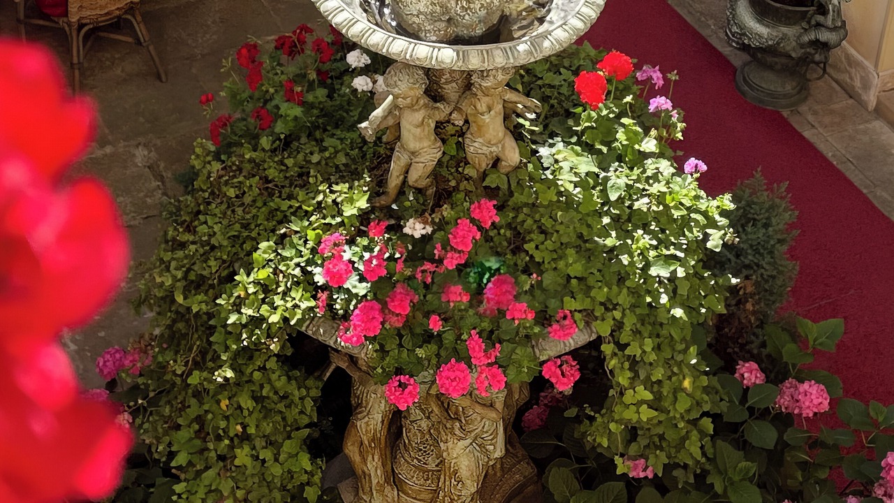 Photo of Outdoor in Mala Strana
