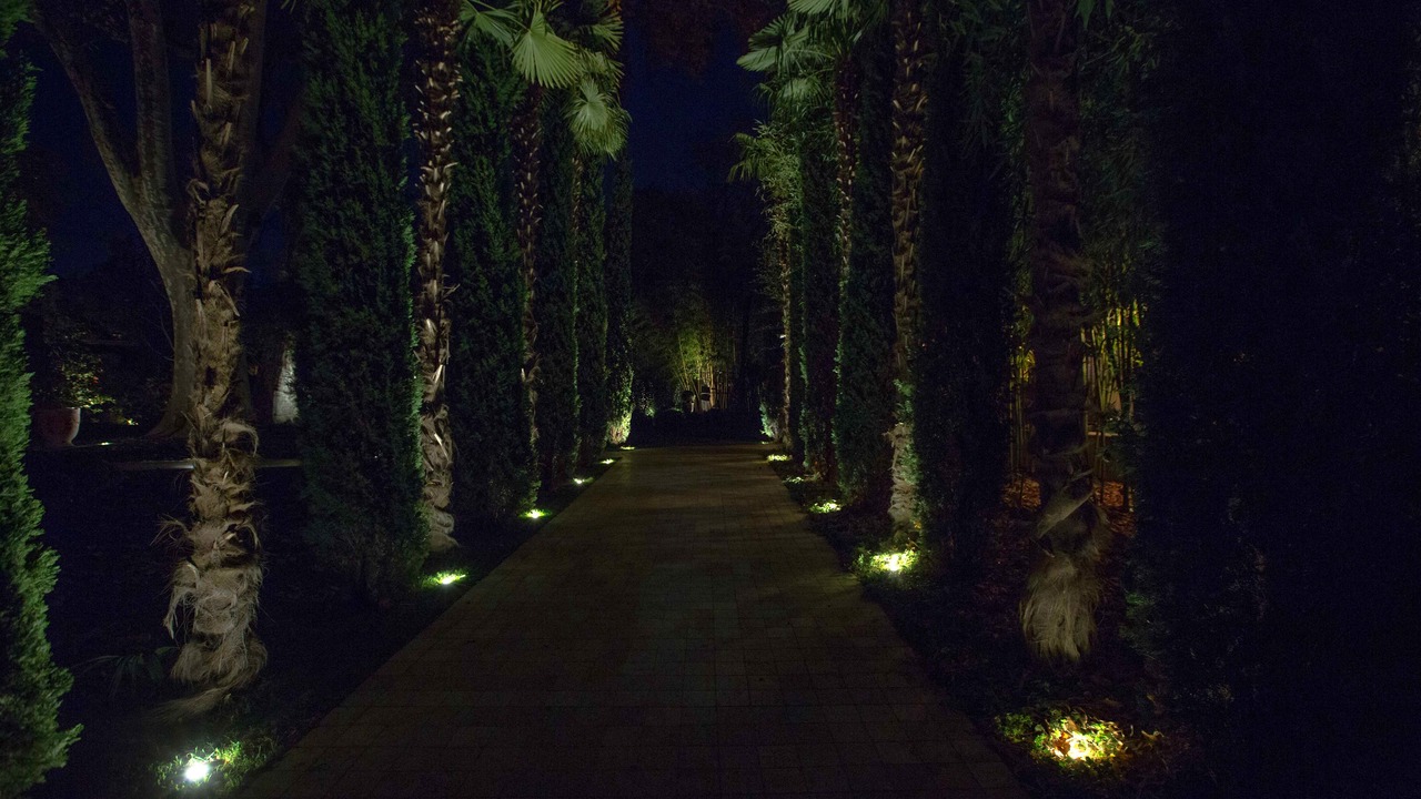 Photo of Outdoor in Avignon City Centre