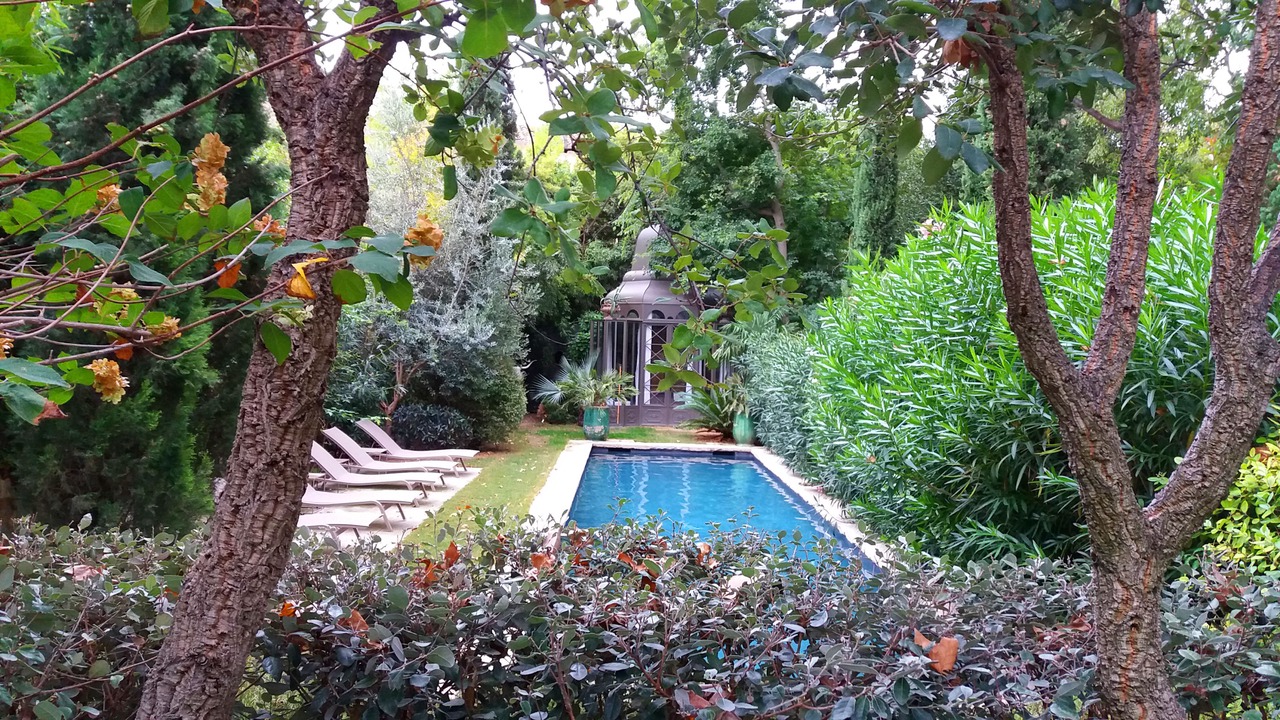 Photo of Outdoor in Avignon City Centre