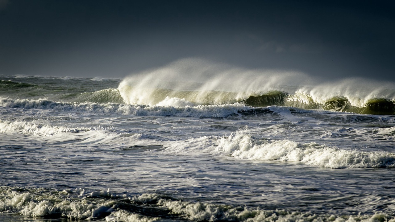 Photo of Others in Norderney