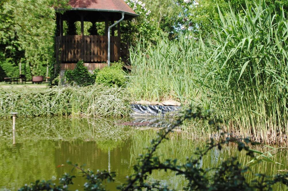 Photo of Outdoor in Pelsin