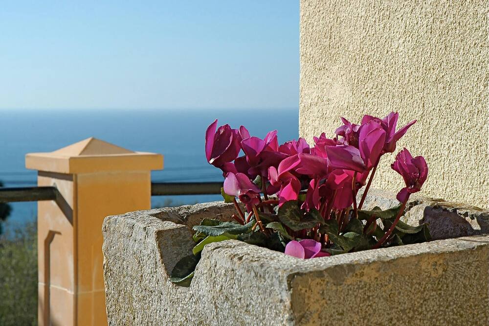 Photo of Others in Deia