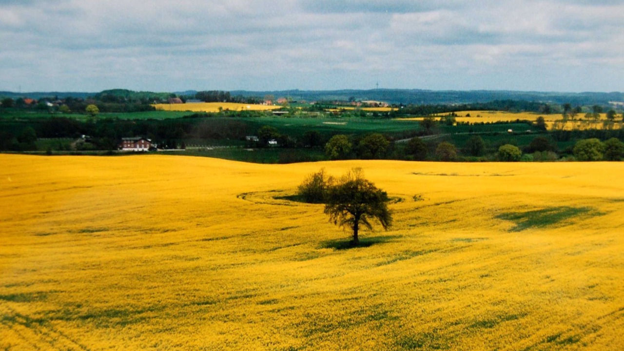 Photo of Outdoor in Sierksdorf