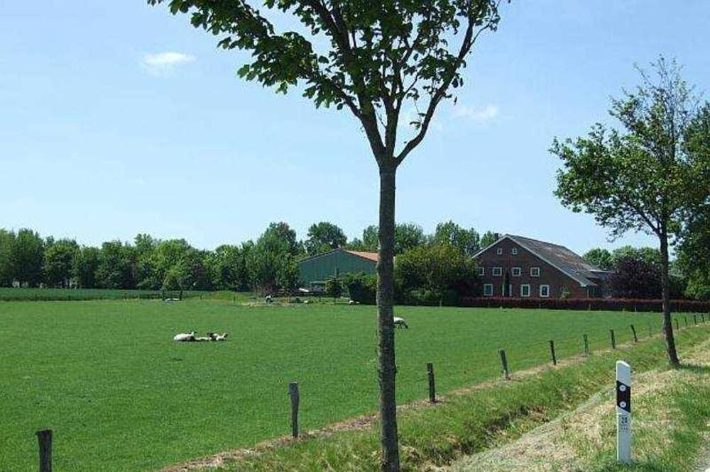 Photo of Others in Dieksanderkoog