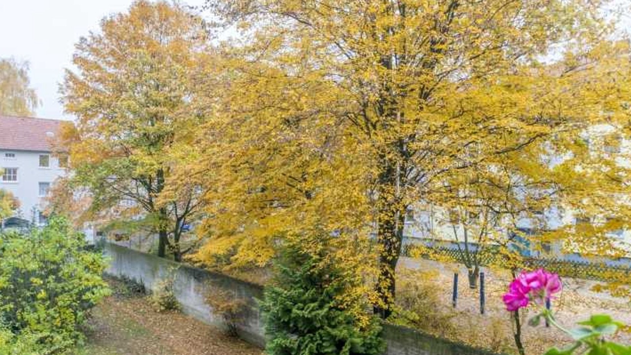 Photo of Outdoor in Doehren