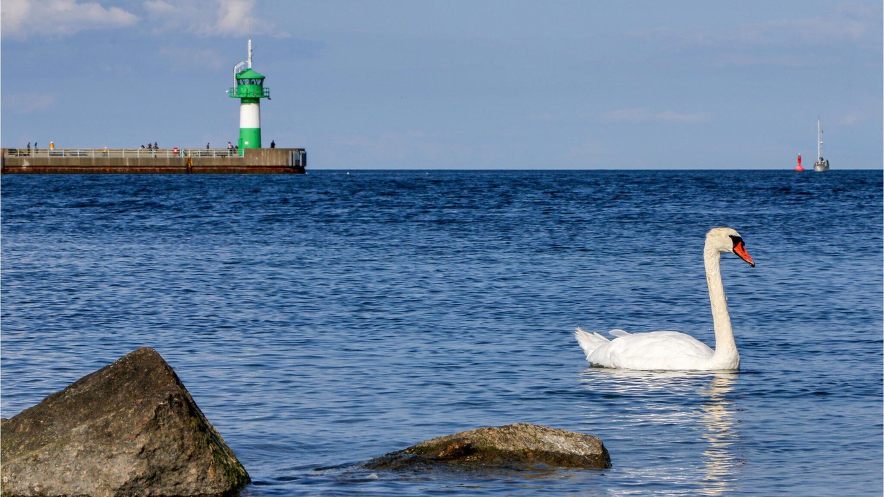 Photo of Others in Travemuende