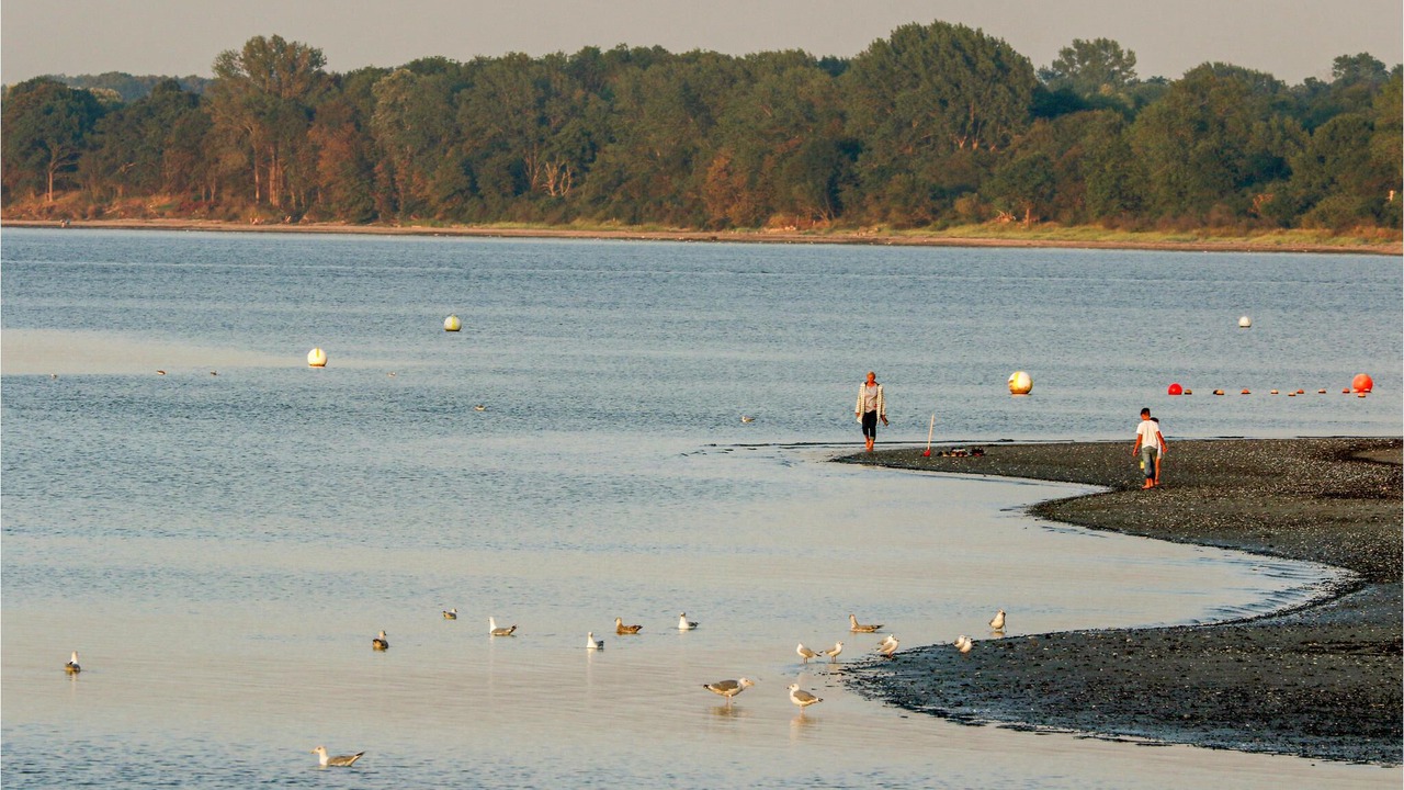 Photo of Others in Travemuende