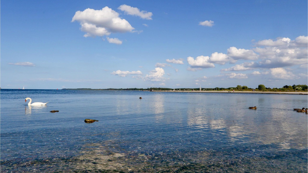 Photo of Others in Travemuende