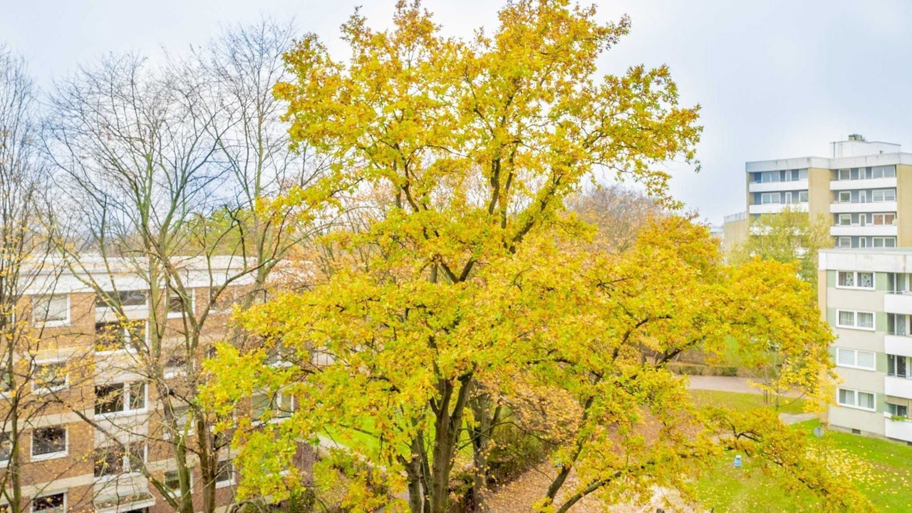 Photo of Outdoor in Muhlenberg