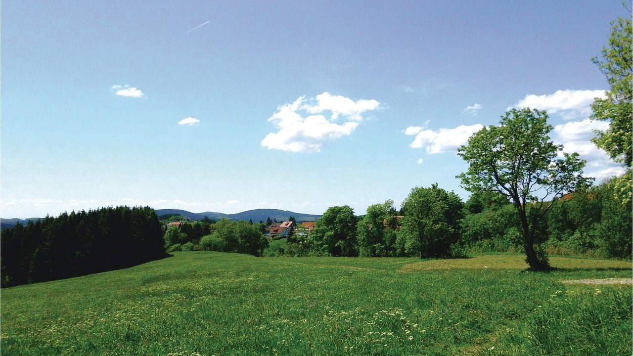 Photo of Outdoor in Sankt Andreasberg