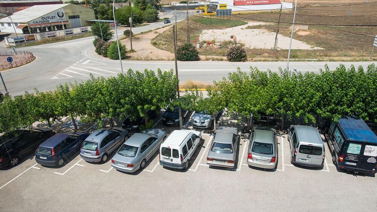Photo of Others in Almansa
