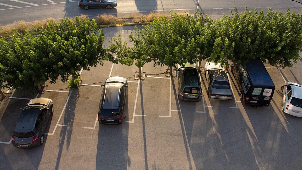Photo of Others in Almansa