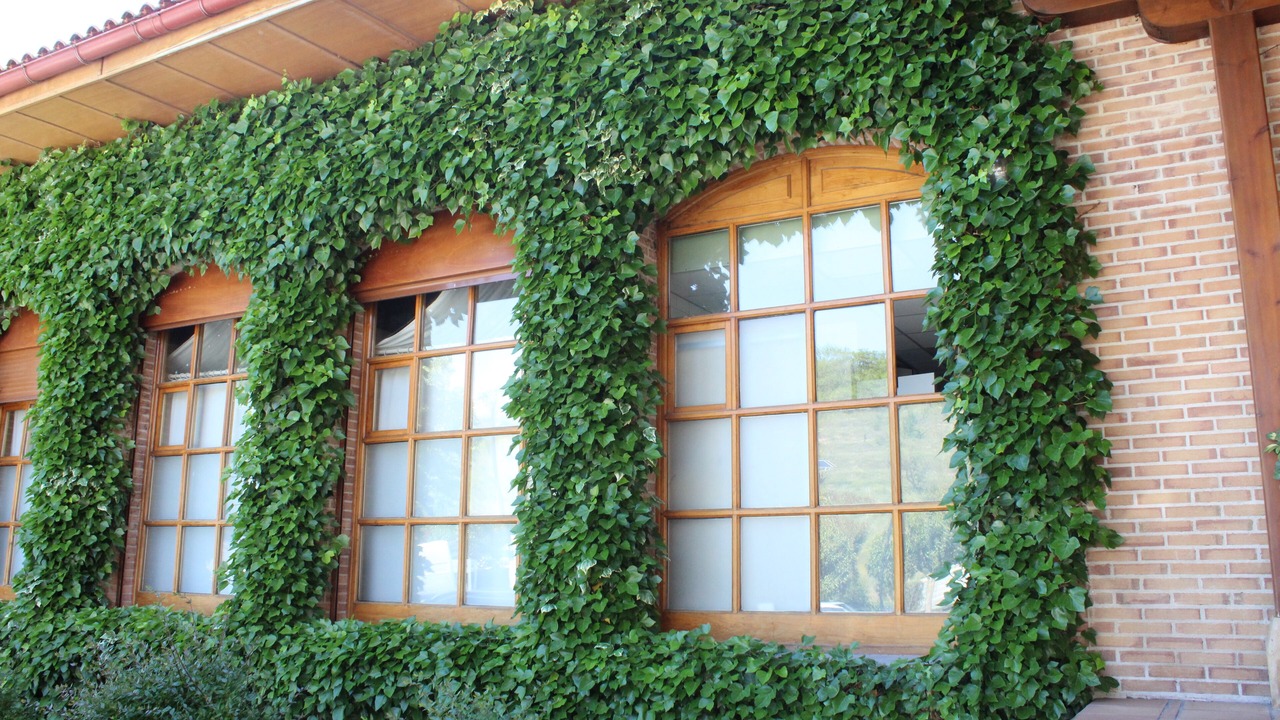 Photo of Outdoor in Puente La Reina