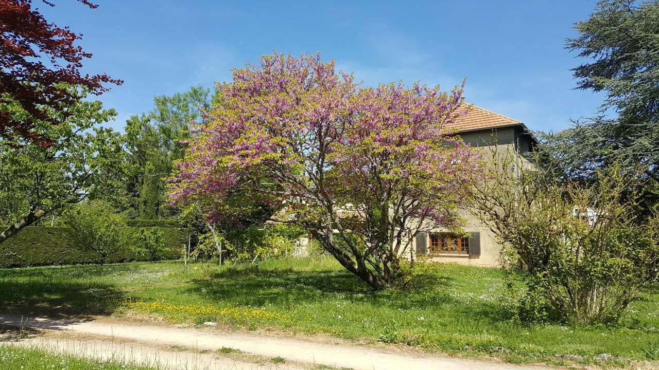 Photo of Outdoor in Tournus