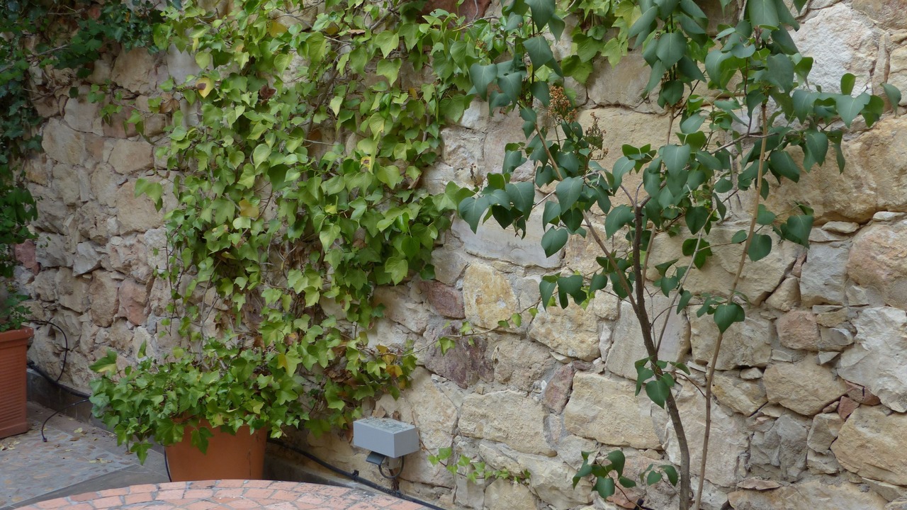 Photo of Patio Balcony in Pedraza