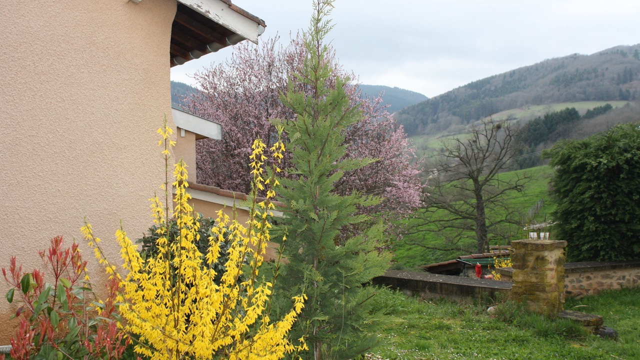 Photo of Outdoor in Saint-Forgeux