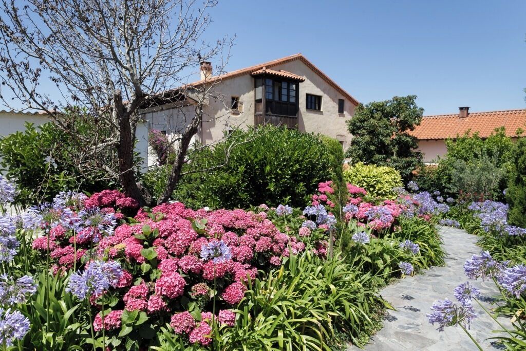 Photo of Outdoor in Galizano