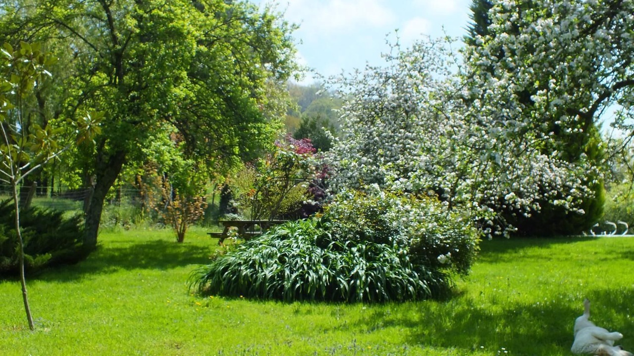 Photo of Outdoor in Lourdes
