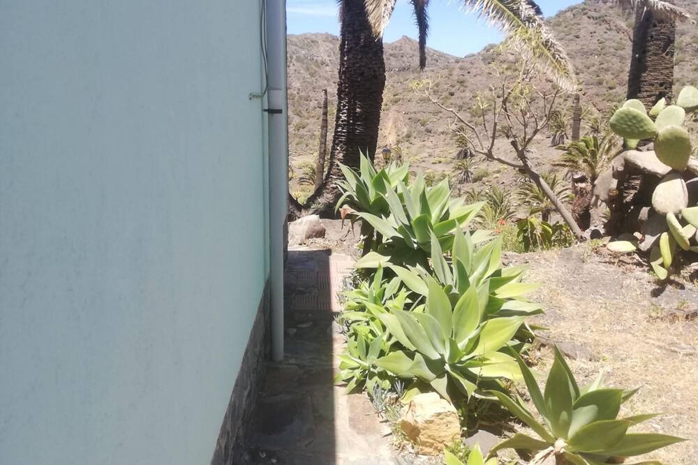 Photo of Others in Vallehermoso