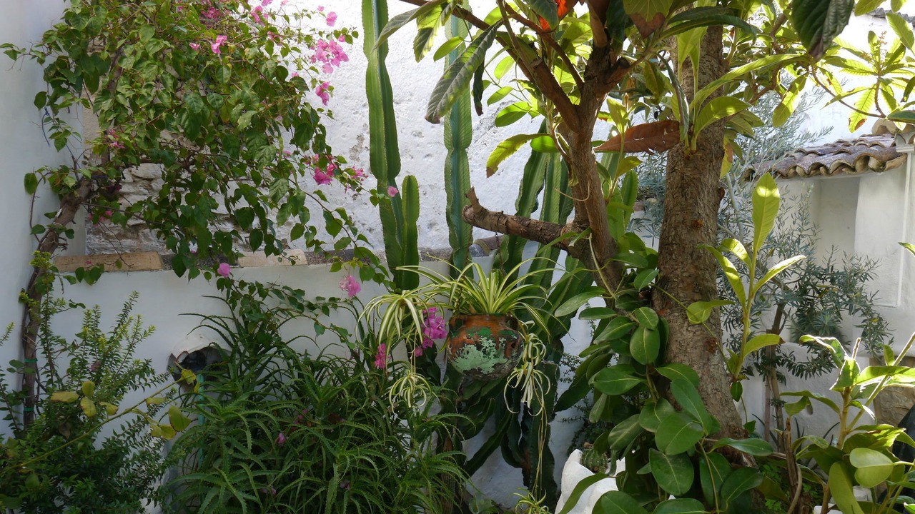 Photo of Outdoor in Montecorto