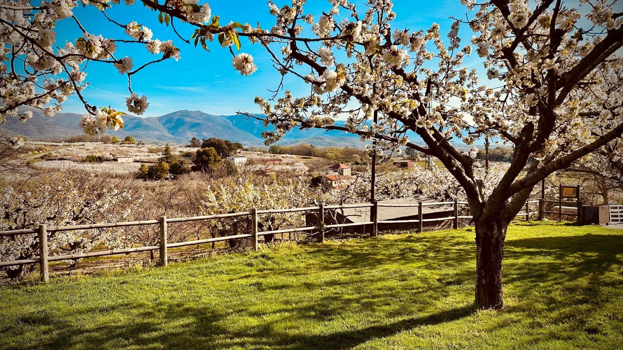 Photo of Outdoor in Jaraiz de la Vera