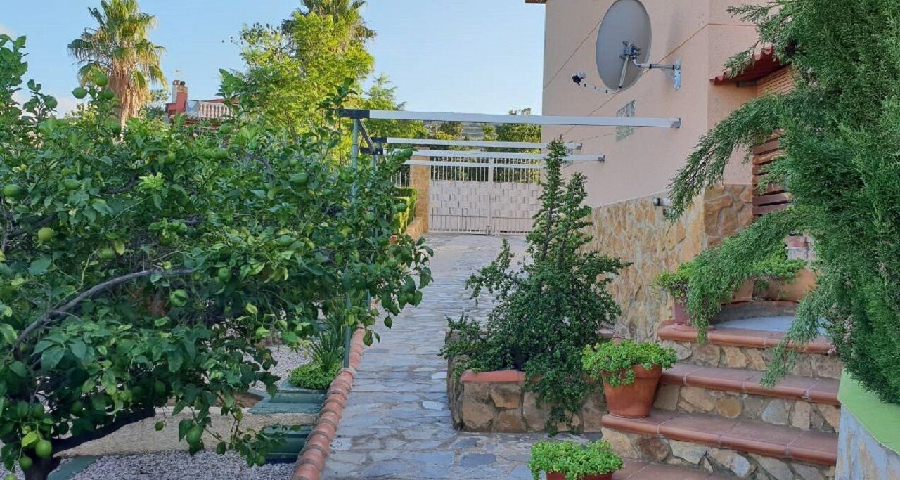 Photo of Outdoor in Turis