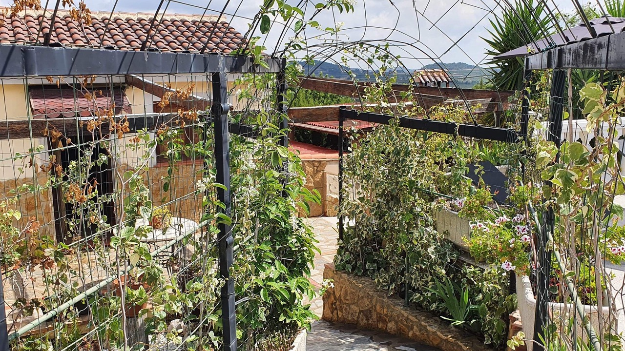 Photo of Outdoor in Turis