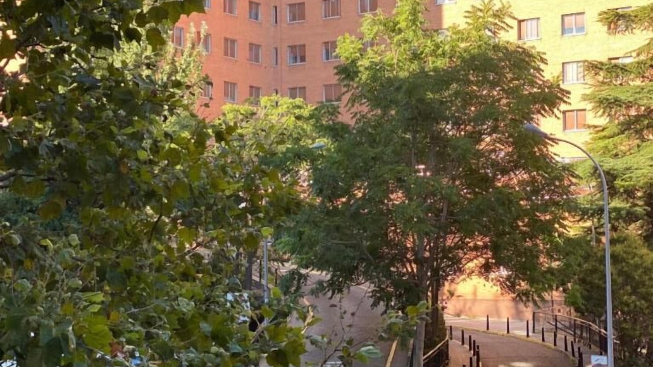 Photo of Outdoor in Valladolid