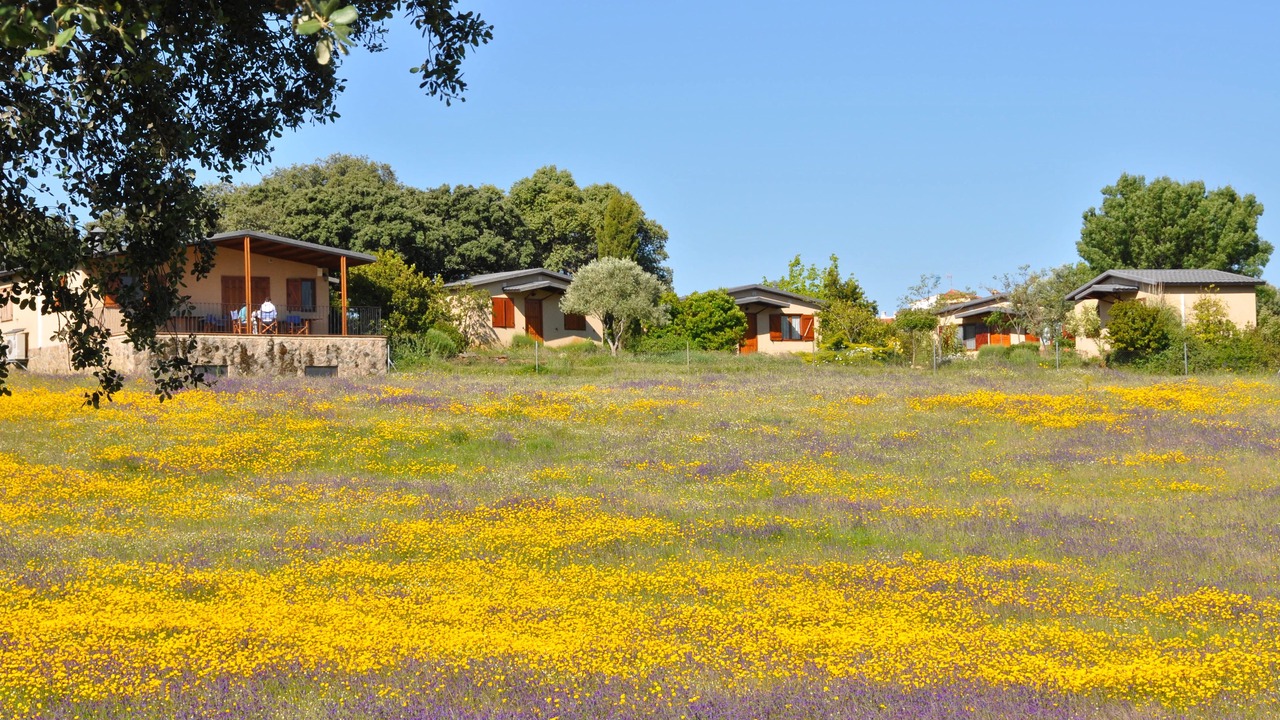Photo of Outdoor in Casas de Belvis