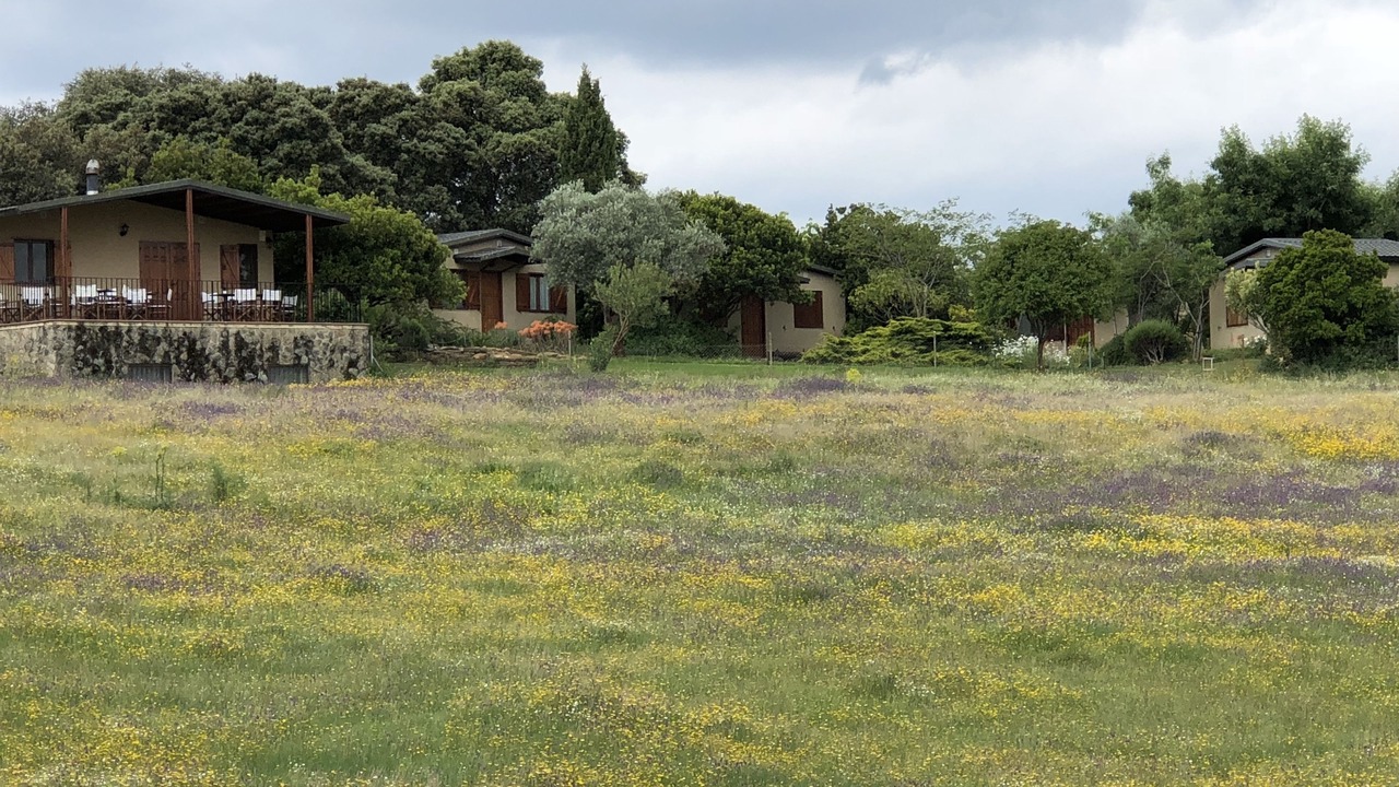 Photo of Outdoor in Casas de Belvis
