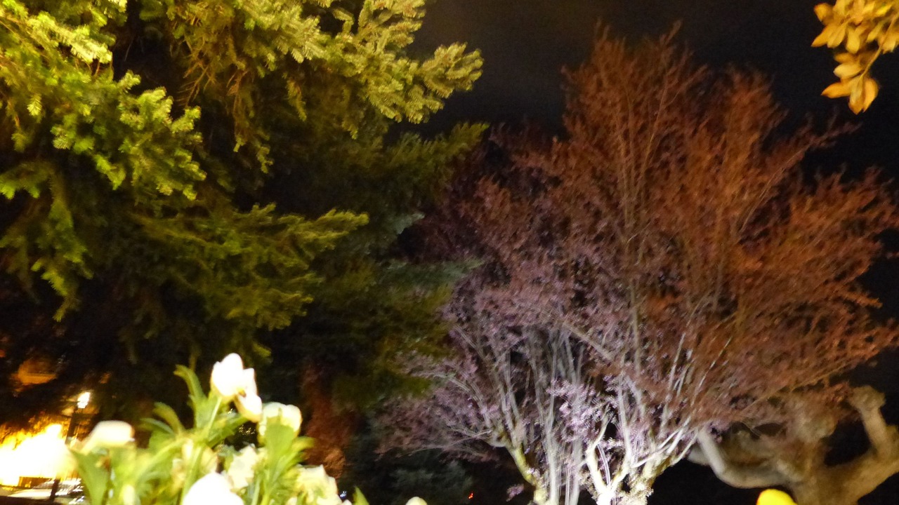 Photo of Outdoor in Esterri D'Aneu