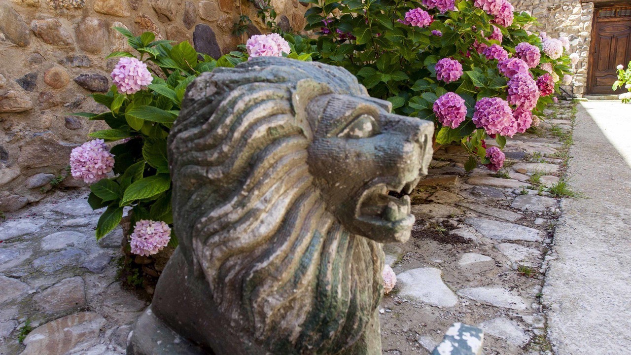 Photo of Patio Balcony in Anon de Moncayo