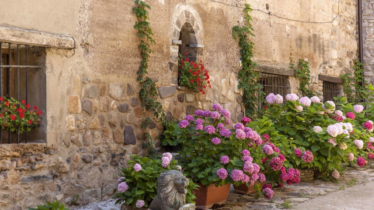 Photo of Patio Balcony in Anon de Moncayo