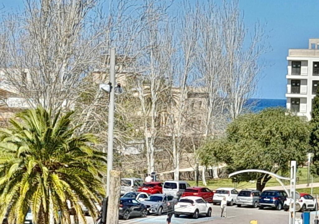 Photo of Outdoor in Puerto de Soller