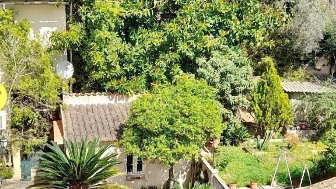 Photo of Outdoor in Puerto de Soller