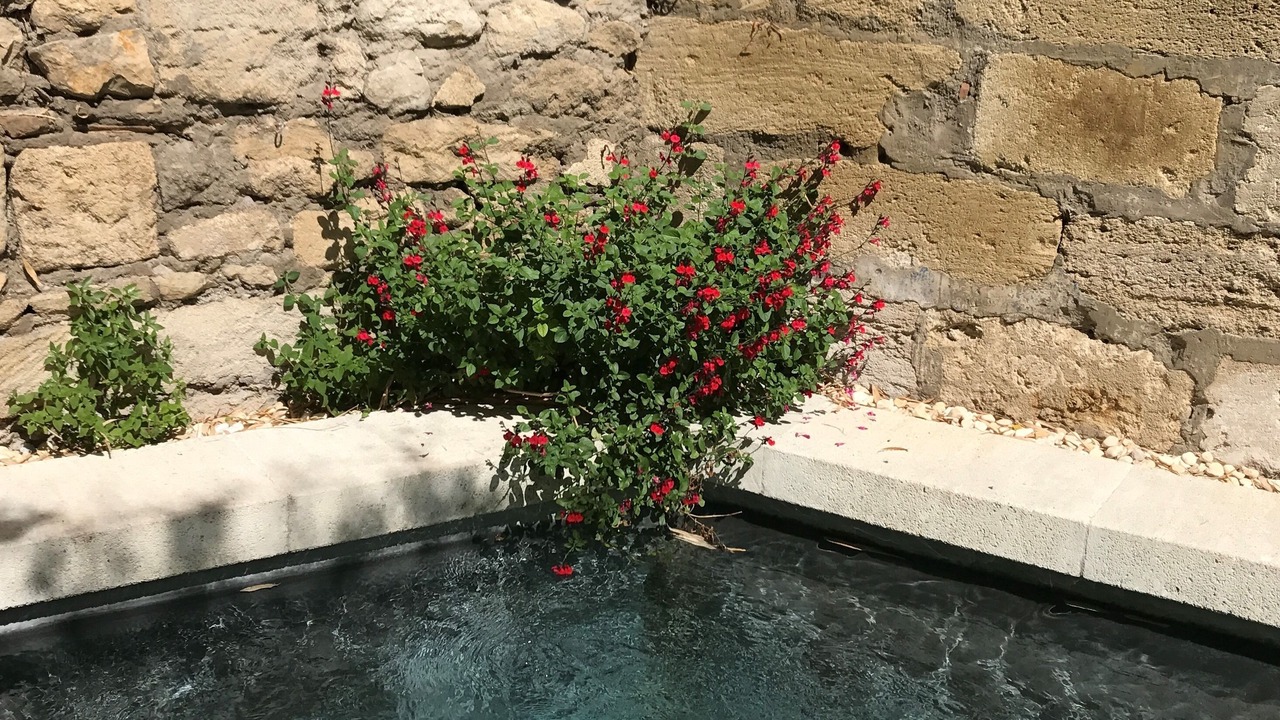 Photo of Others in Avignon City Centre