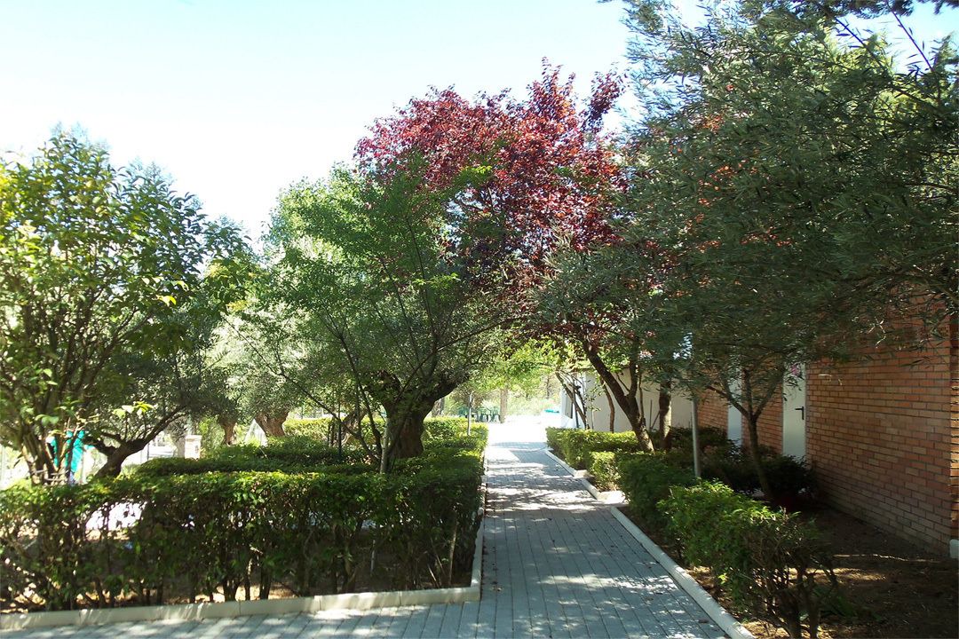 Photo of Outdoor in Horche