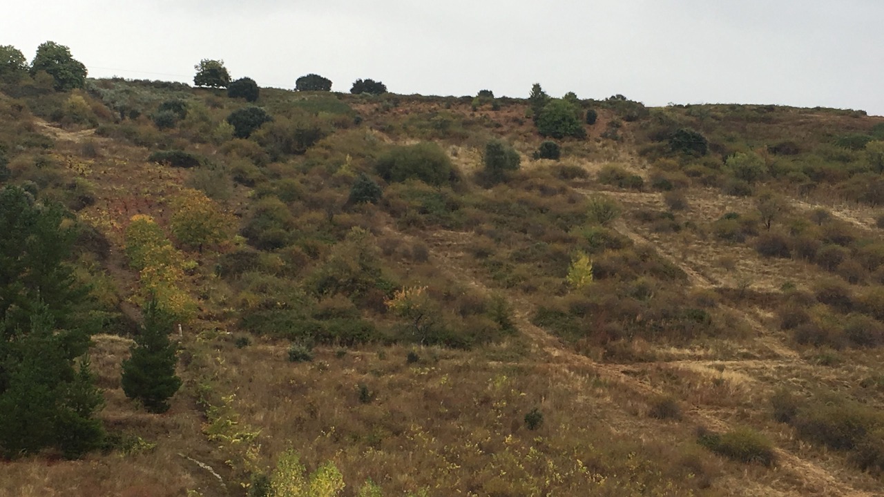 Photo of Others in Bembibre
