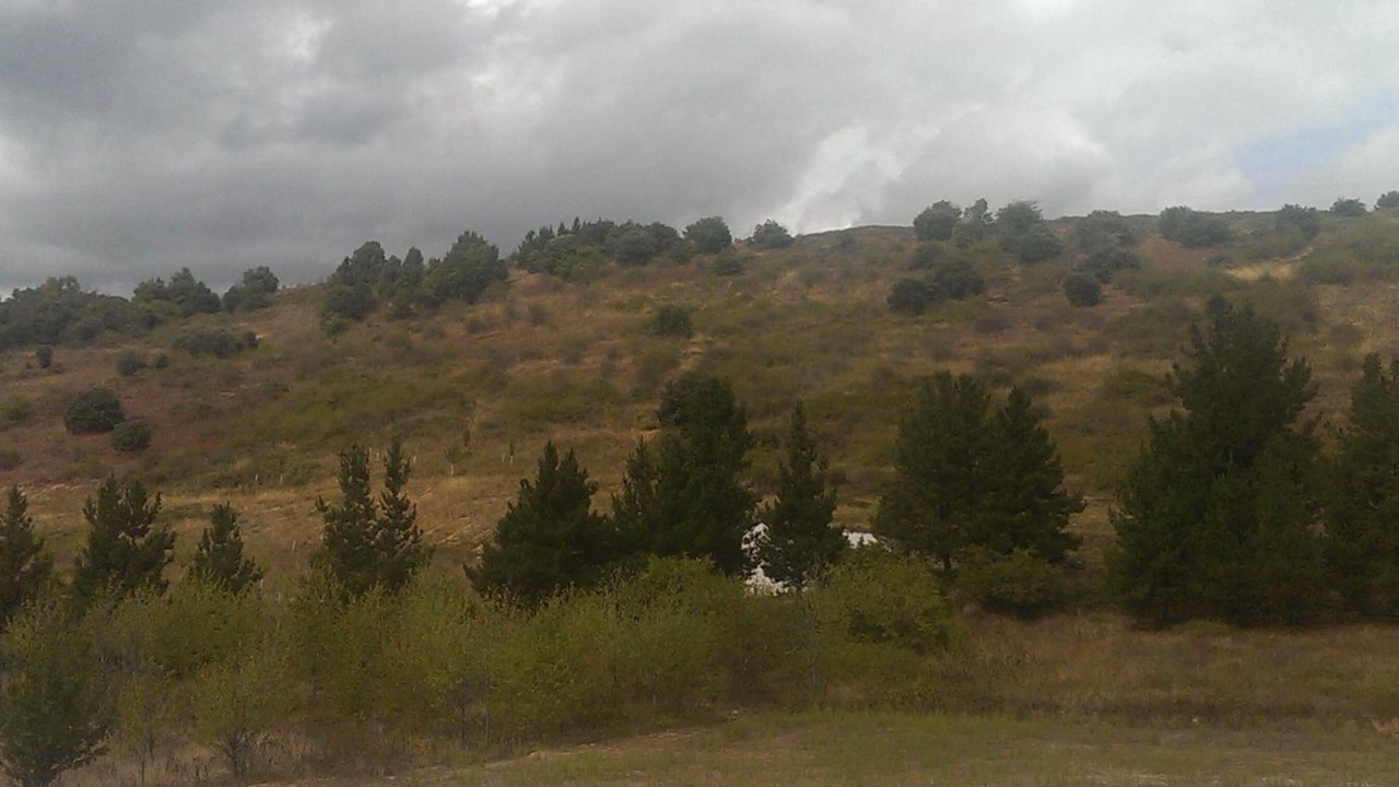 Photo of Outdoor in Bembibre