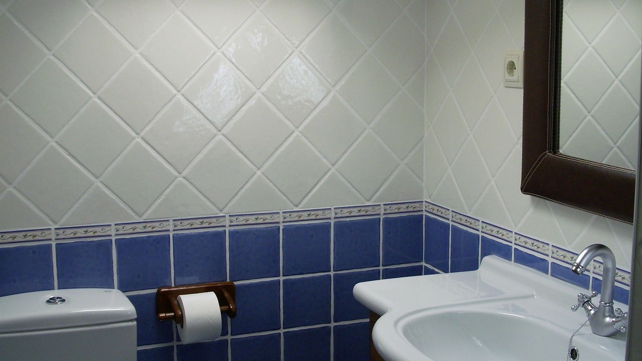 Photo of Bathroom in Brihuega