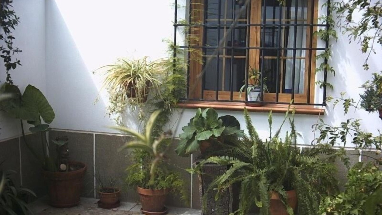 Photo of Outdoor in Talavan