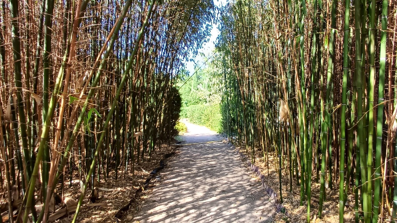 Photo of Outdoor in Proulieu