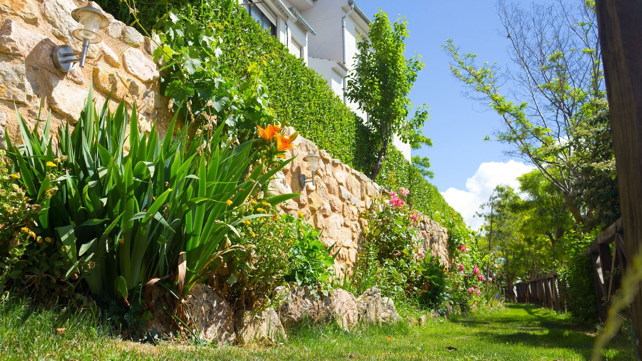 Photo of Outdoor in Atienza